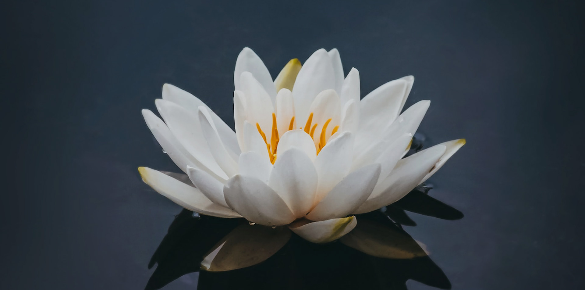 Image Background